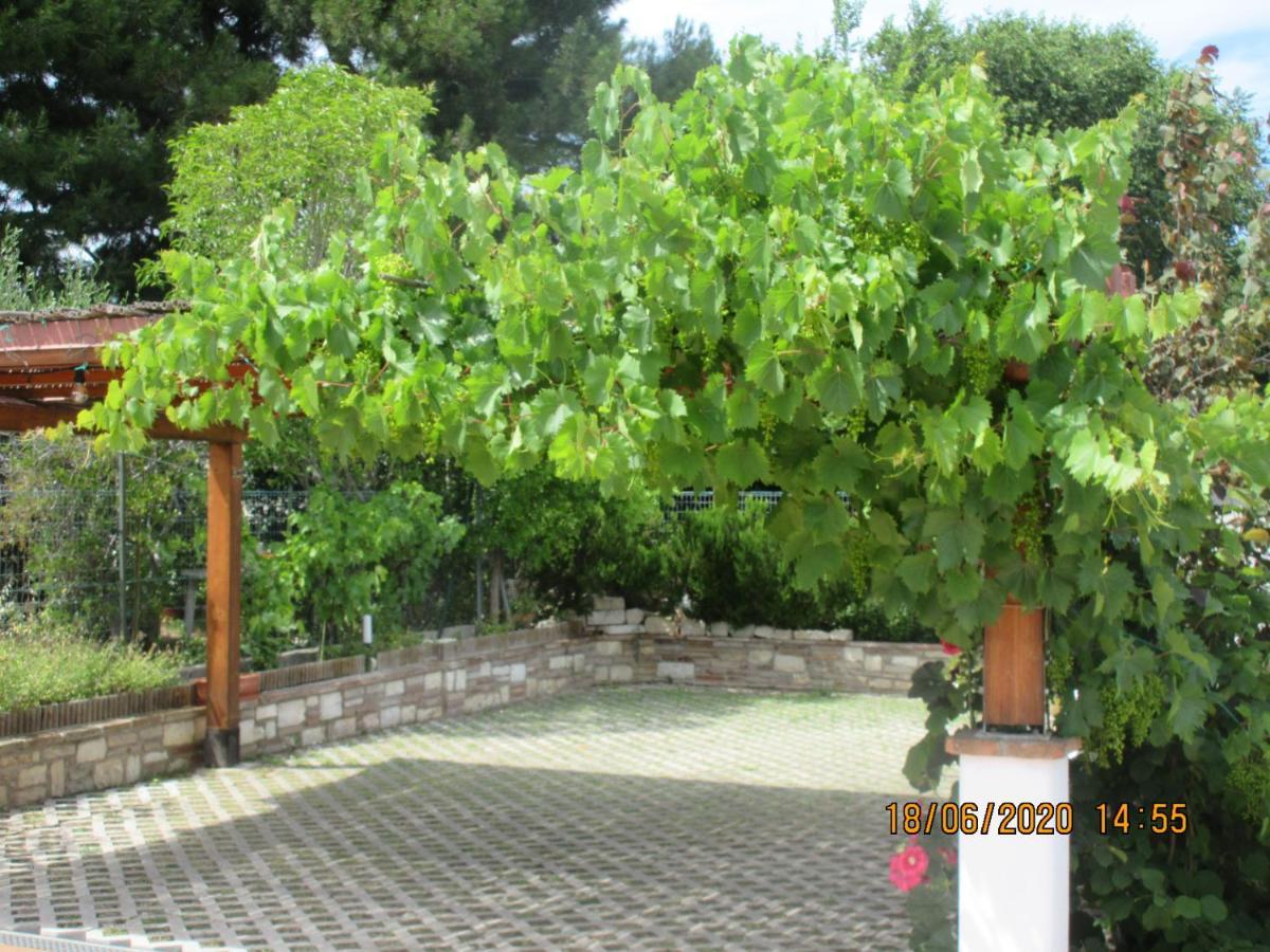 סירולו B&B Capo Le Vigne מראה חיצוני תמונה