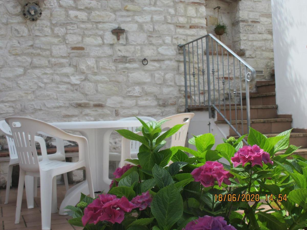 סירולו B&B Capo Le Vigne מראה חיצוני תמונה